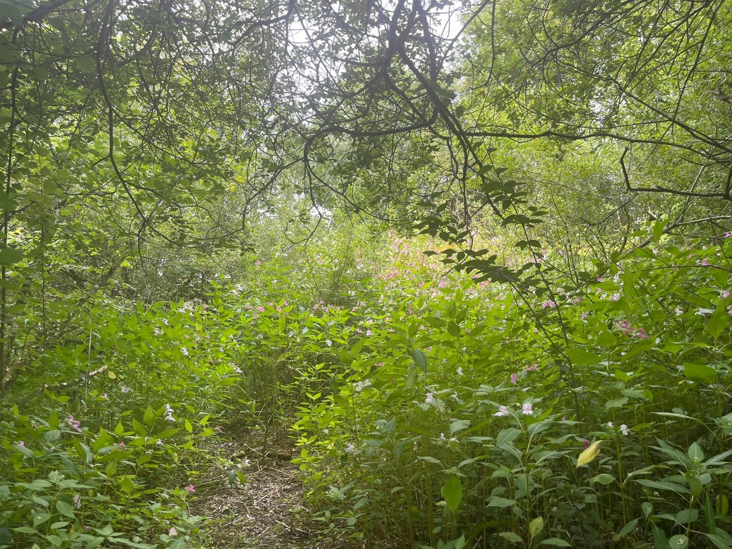 Land Rear of Heol Faen, Mission Road Maesteg, CF34 0ND